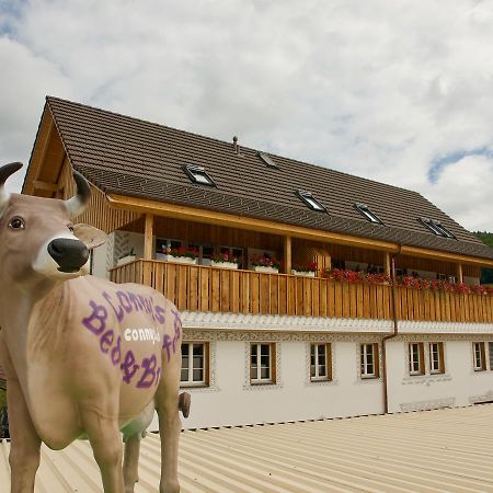 Niederweningen Conny'S B&B المظهر الخارجي الصورة
