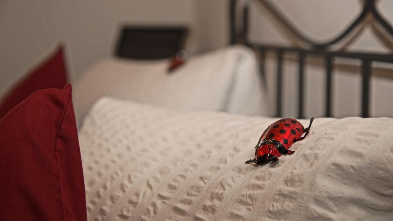 Niederweningen Conny'S B&B المظهر الخارجي الصورة